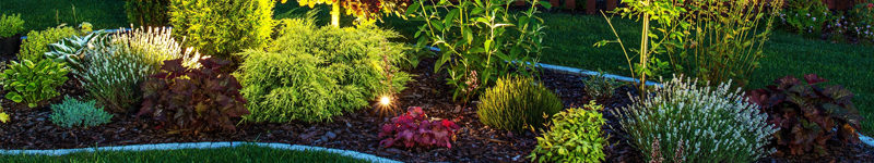 造園工事の料金表はこちら